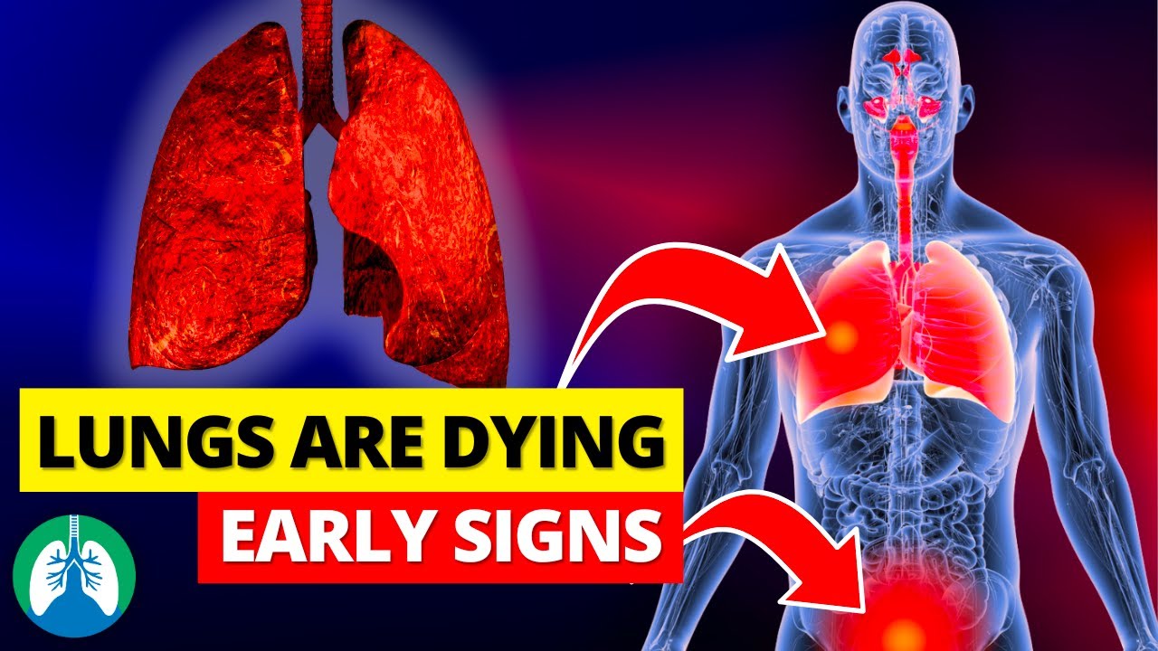 LUNGS are DYING! Top 13 Signs of Lung Damage to NEVER IGNORE