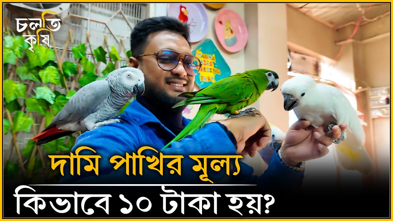 আড়াই লাখ ক্ষ'তি, আপনার হতে পারে কোটি- কিভাবে সা'ব'ধা'ন হবেন? | চলতি কৃষি