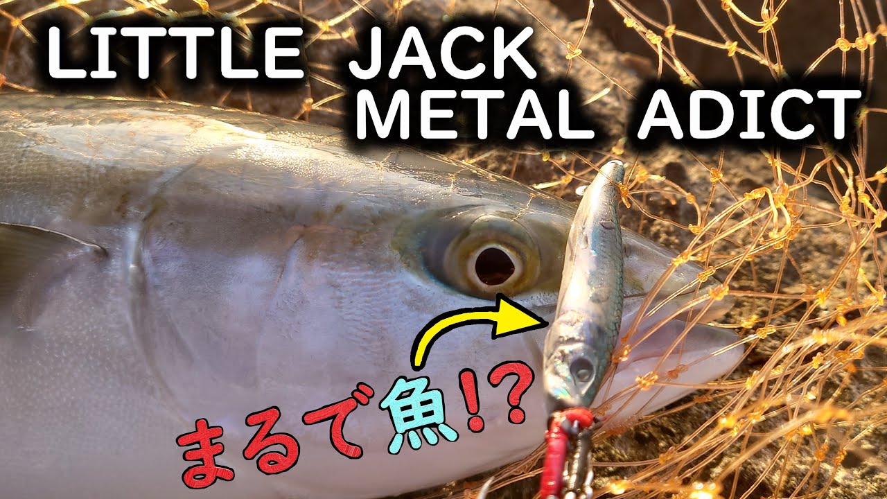 まるで魚⁉メタルアディクトで青物!!【Vol.68】
