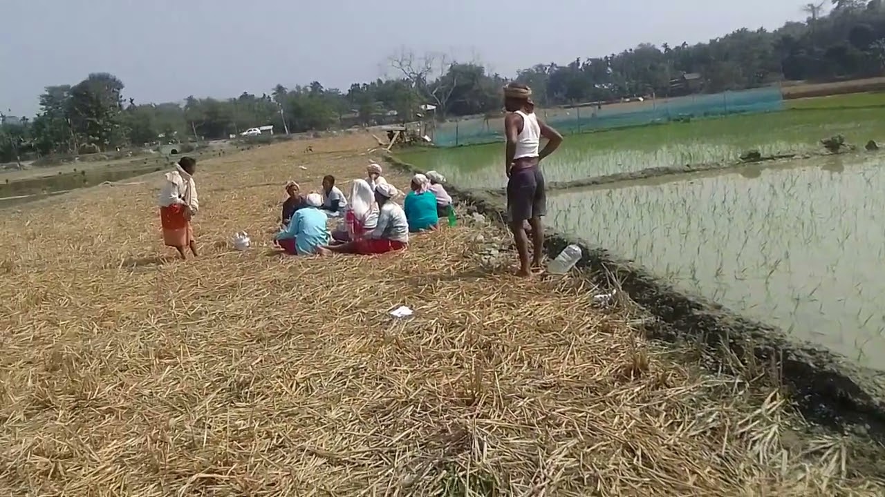 Assamese video