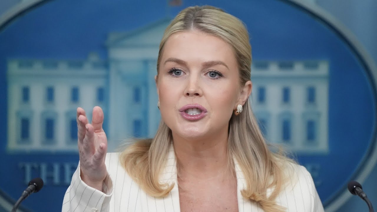 ‘Epstein was a creep’: Karoline Leavitt speaks on newly released files