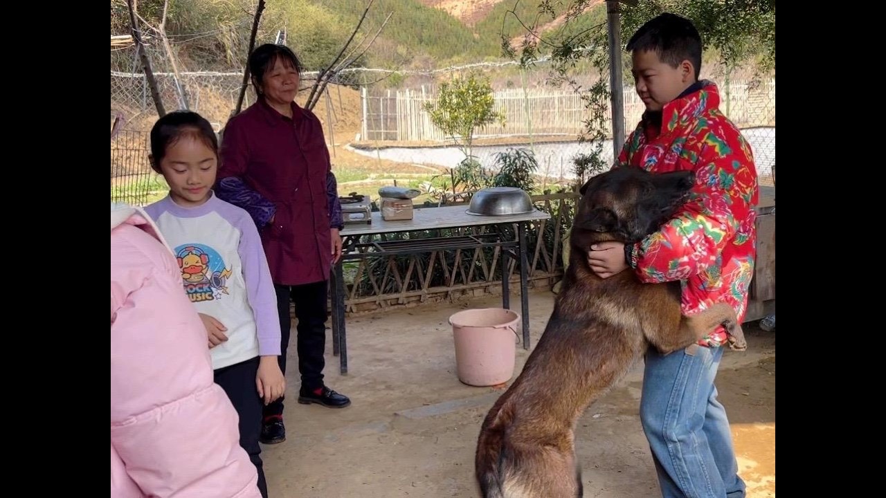 返深前带着娃儿们来溜黑狼，黑狼依依不舍求抱抱，看来是太孤独了