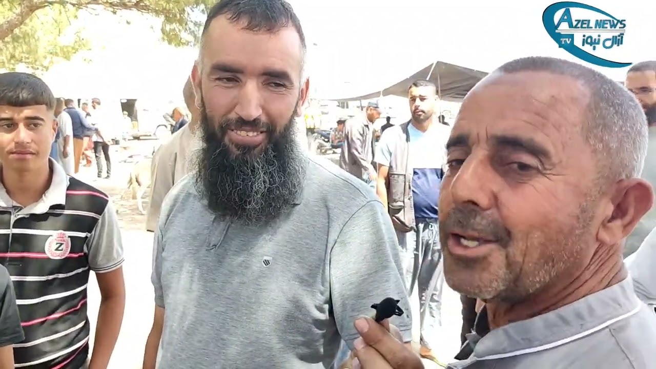 آراء الناس حول اسعار الاضاحي بسوق الاسبوعي لمدينة عين آزال سطيف