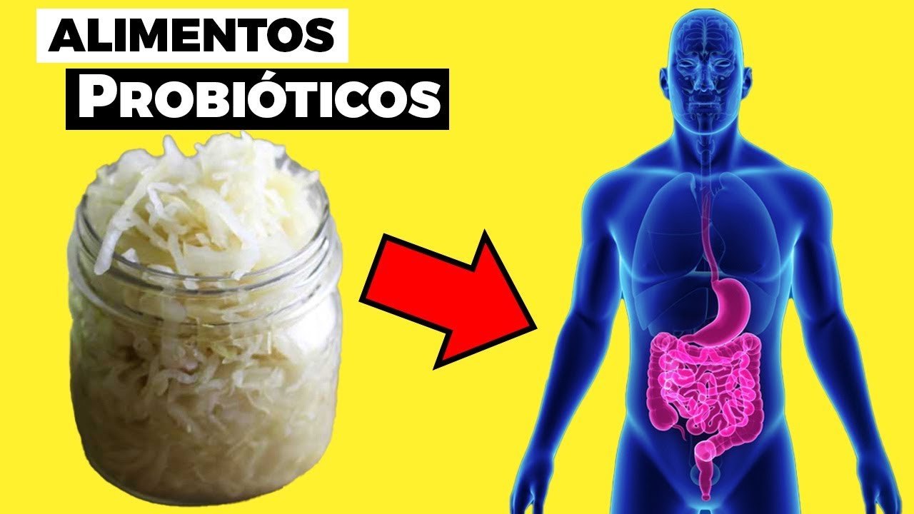 11 ALIMENTOS PROBIÓTICOS para tener una flora intestinal e intestino saludable