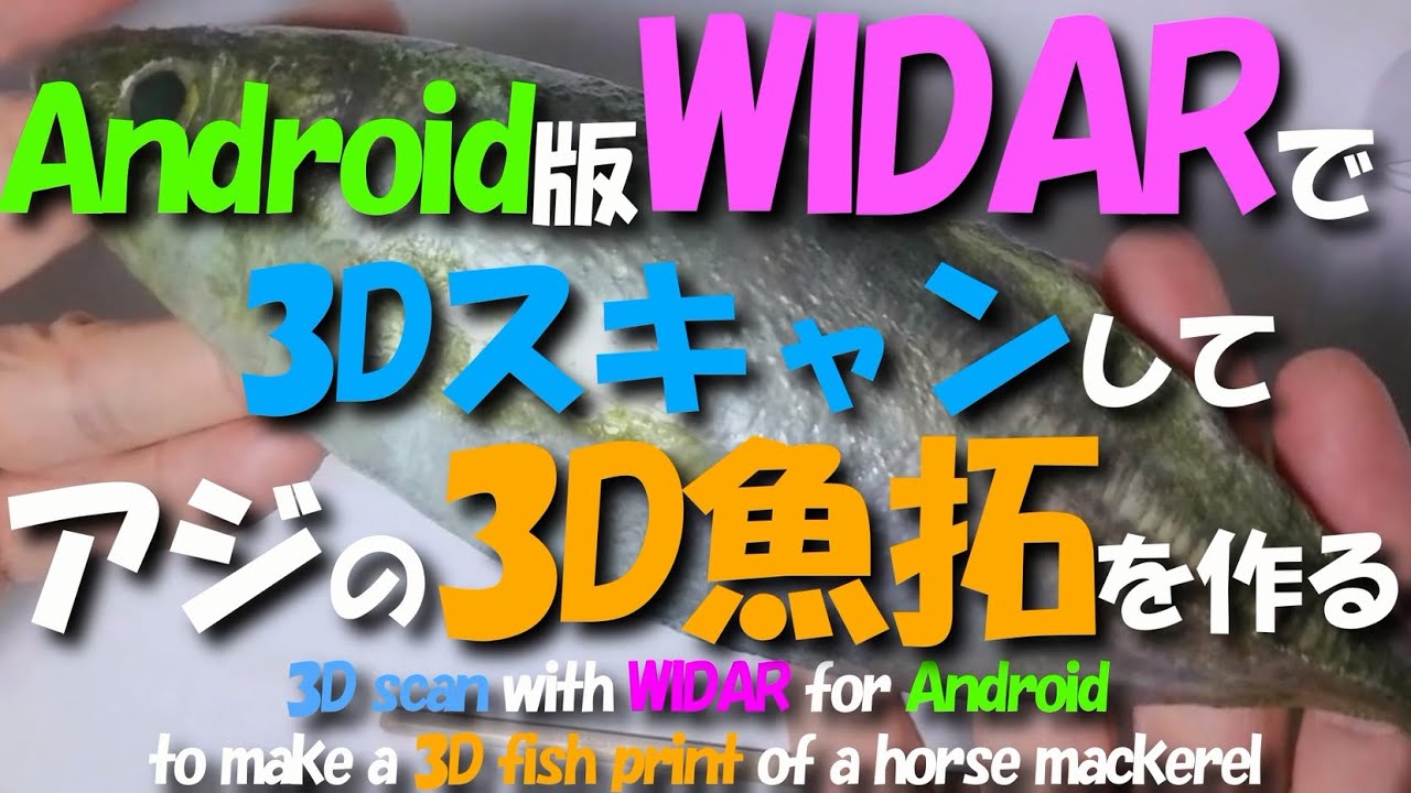 Android版WIDARで3Dスキャンしてアジの3D魚拓を作る / 3D scan with WIDAR for Android to make a 3D fish print
