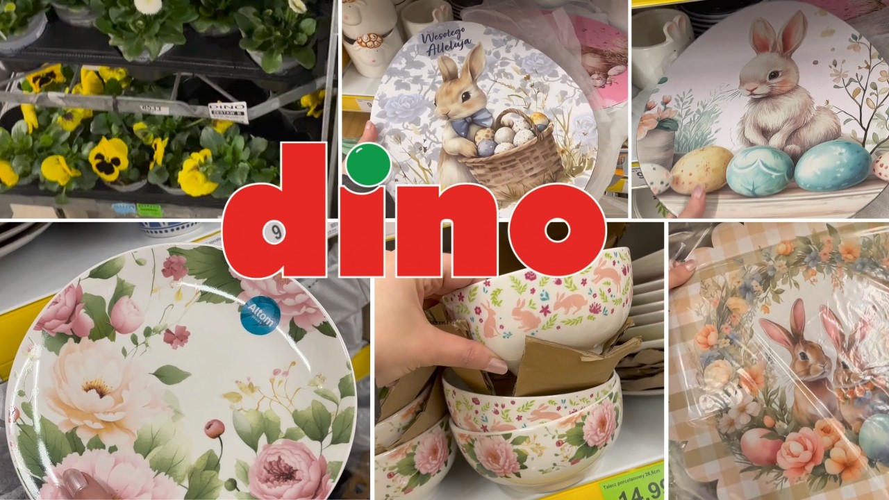 Nowości w Dino/Urocze talerzyki/Przegląd kwiatów🌸