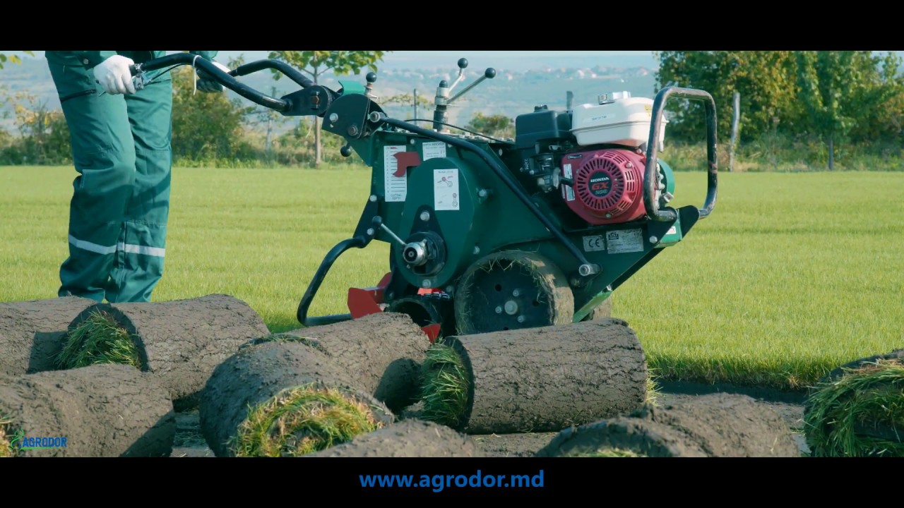 Producere gazon rulat│Amenajări exterioare AGRODOR