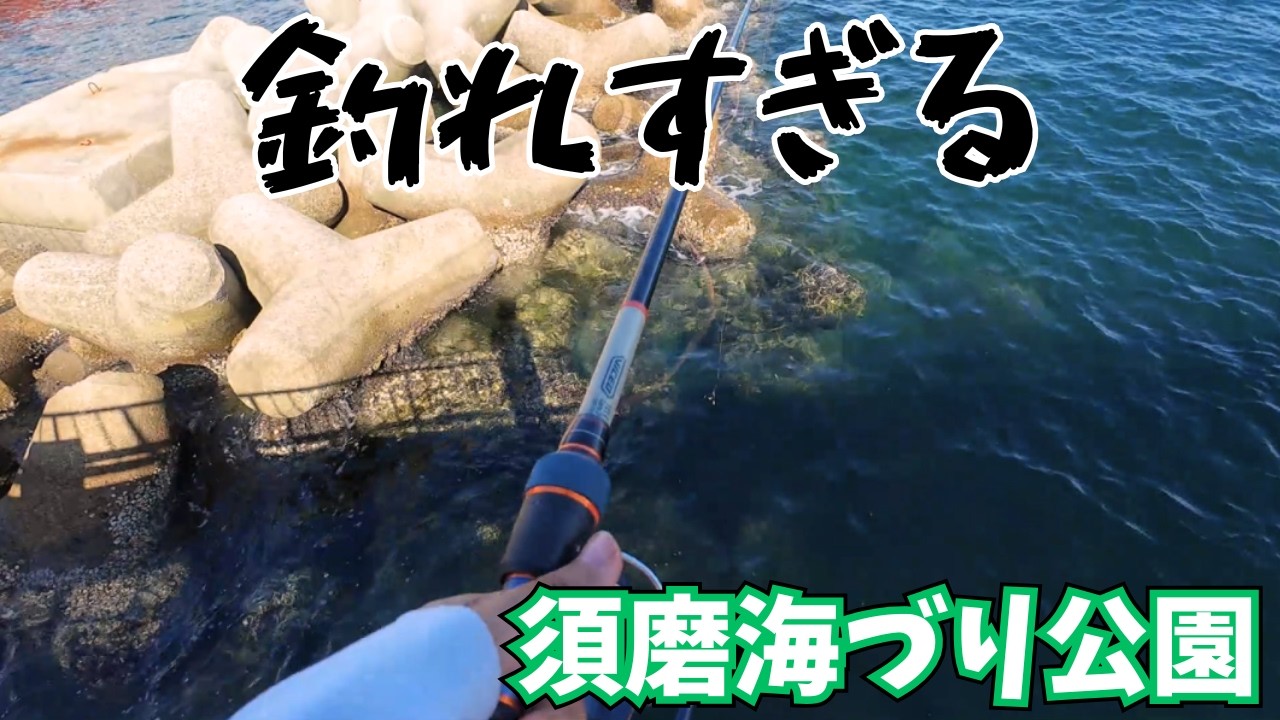 【須磨海づり公園】サビキ＆胴付きで爆釣の日‼️五目釣り達成🎣【初心者釣り女子】