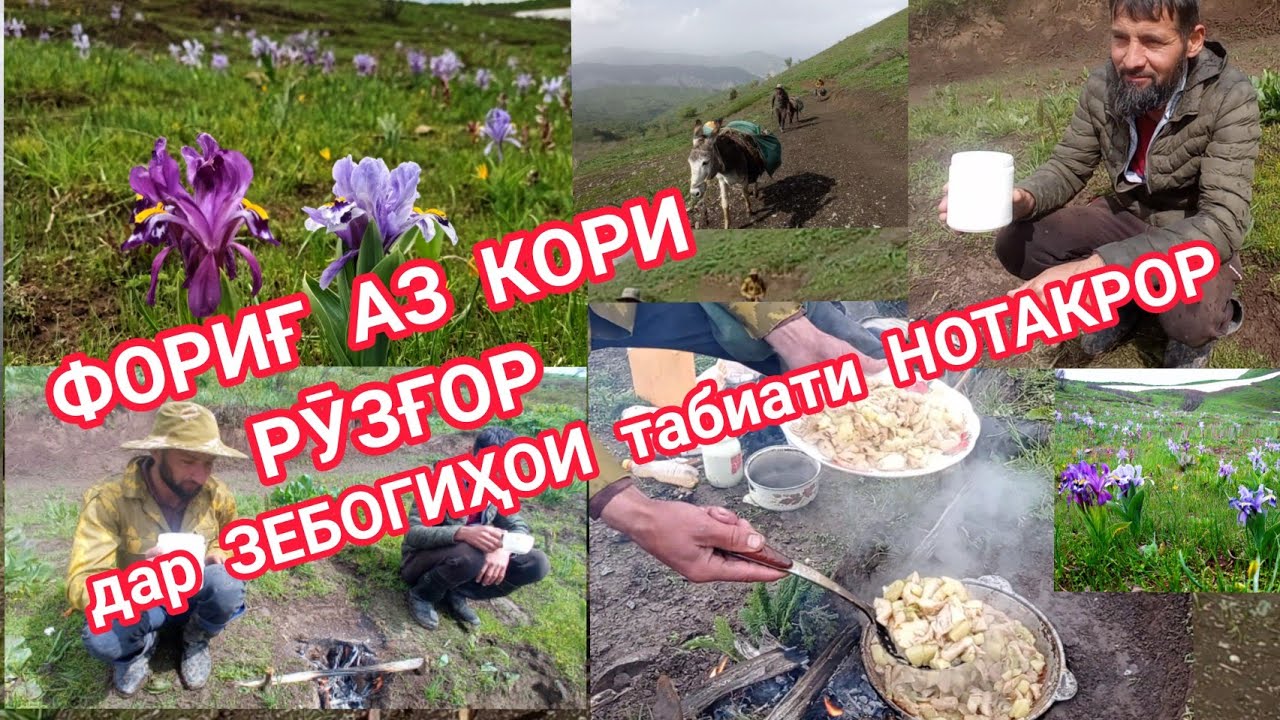 САЙРЕ ДАР ДИЁРИ ЗЕБОИ ОФТОБЗАМИН