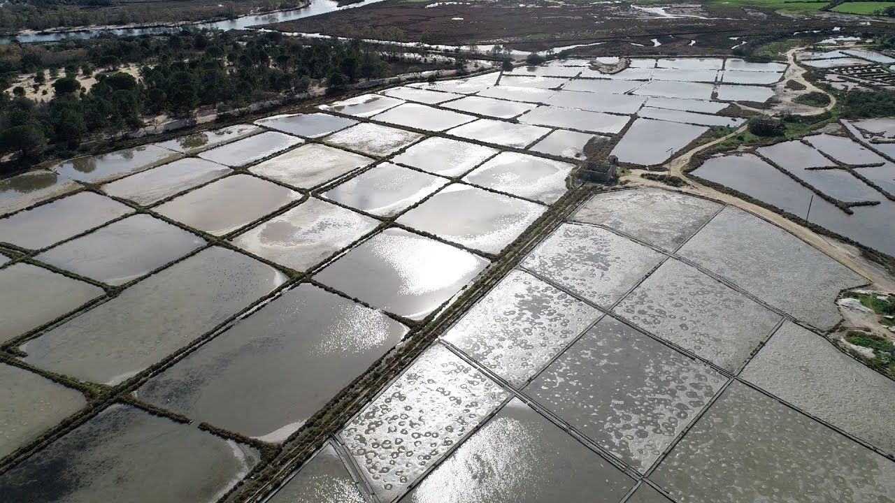 Visite exclusive des marais salants de Porto-Vecchio
