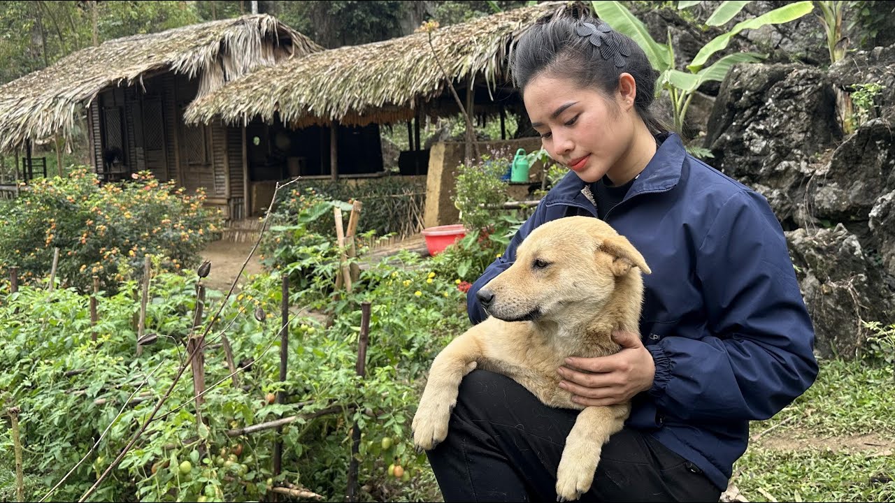 Pet care - gardening - cooking daily life on the farm