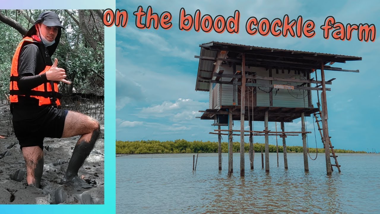 I found a unique experience in Samut Songkhram Province, Thailand