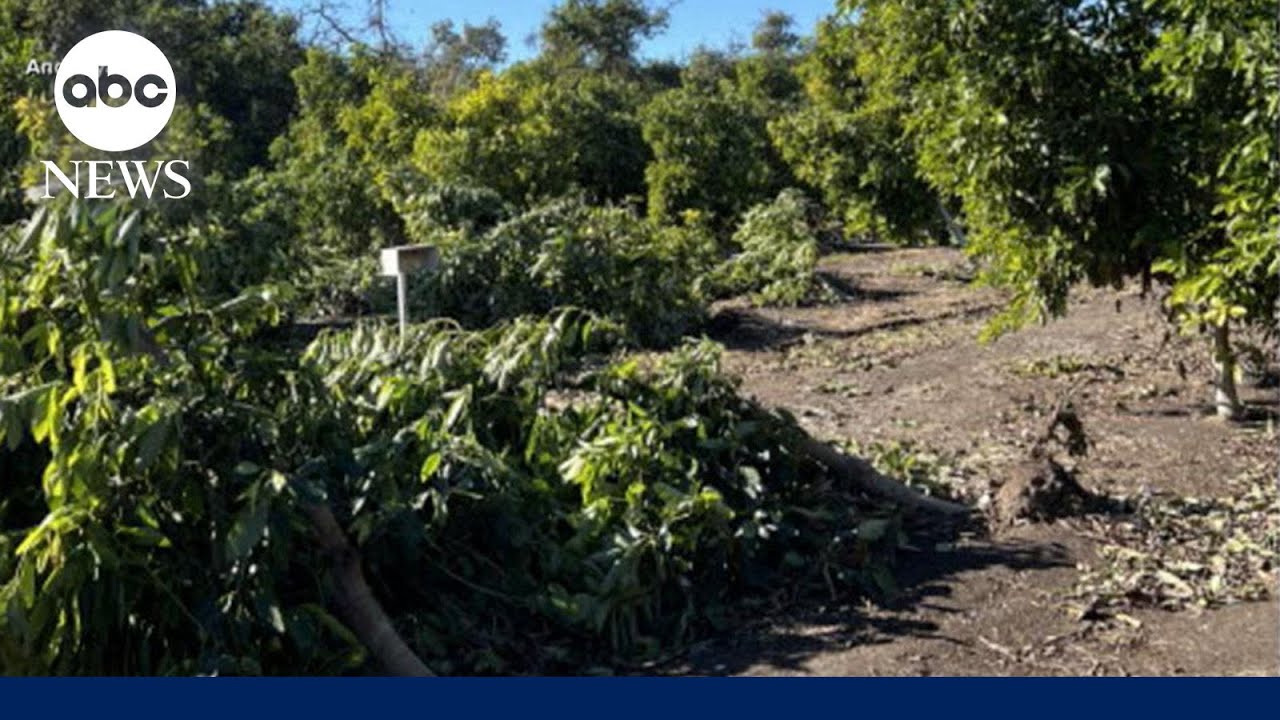 LA wildfires are impacting wildlife and farms