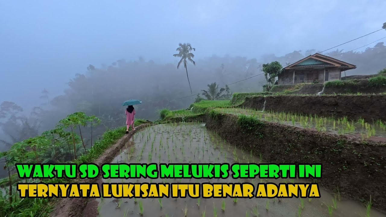 Suasana Hujan Deras Di Pegunungan. Seorang Anak Berjalan Bagai Di Atas Awan.