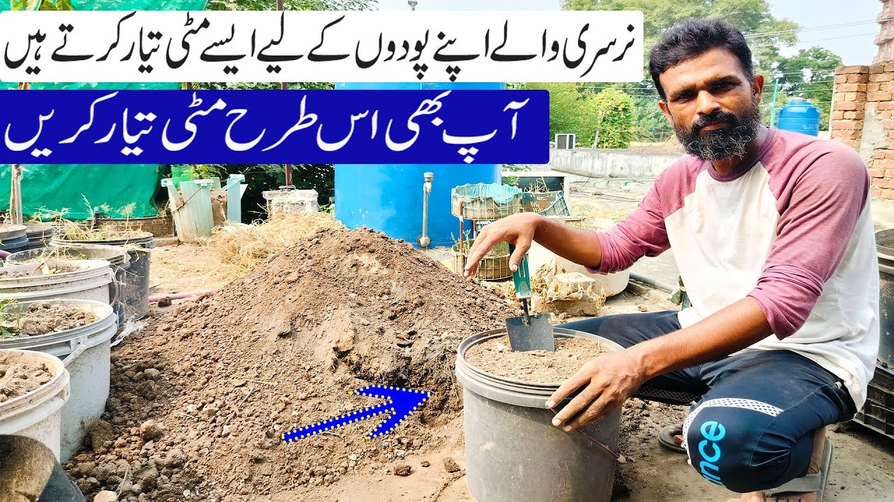 Nursury Wale Matti ko Kaise Tyar karte Hai | 100% Germination Plants K liye  مٹی کیسے تیار کی جائے۔