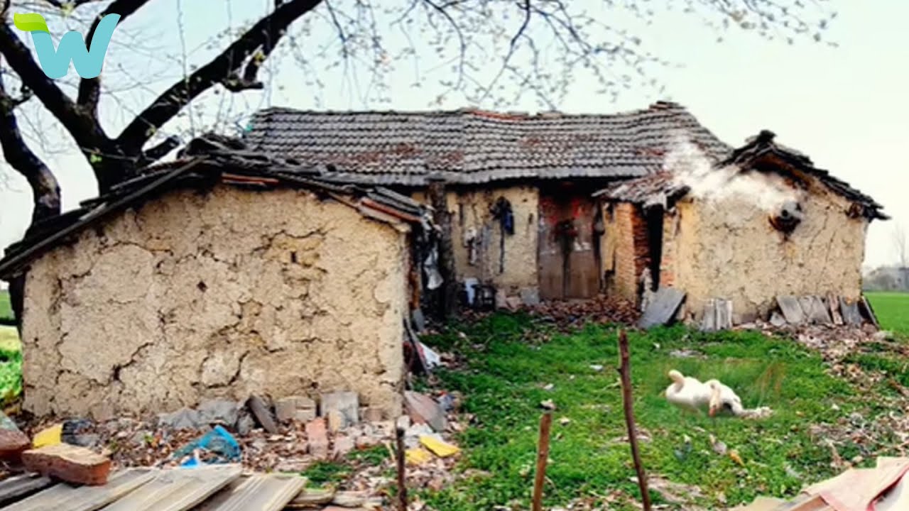Having money for medical treatment, a poor boy agrees to renovate the old house of the village head