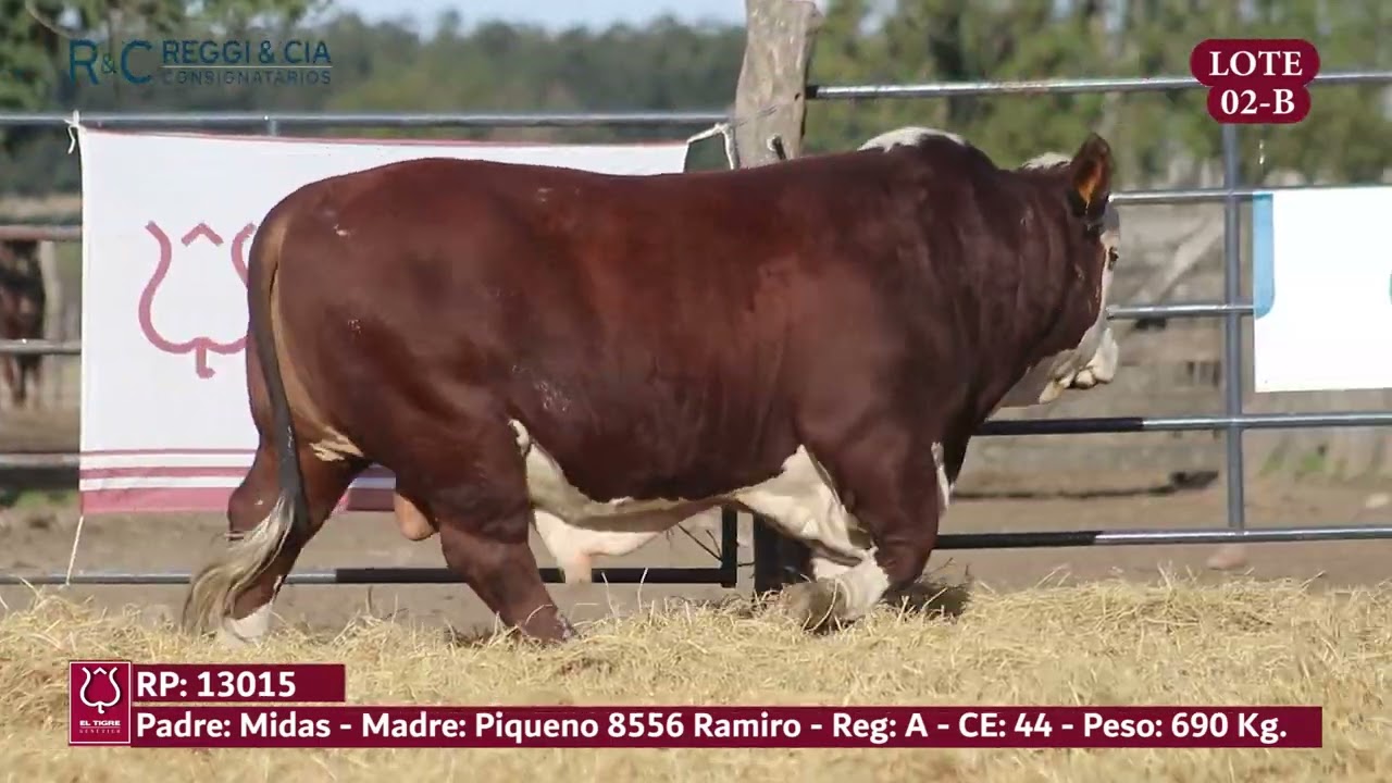LOTE 02B