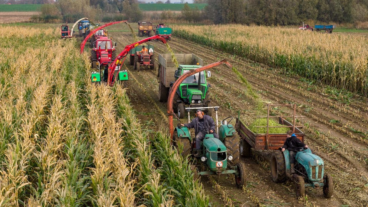 Classic chopping the final field | Hesston, PZ, Deutz, John Deere, Volvo| Haksel Team De Betuwe