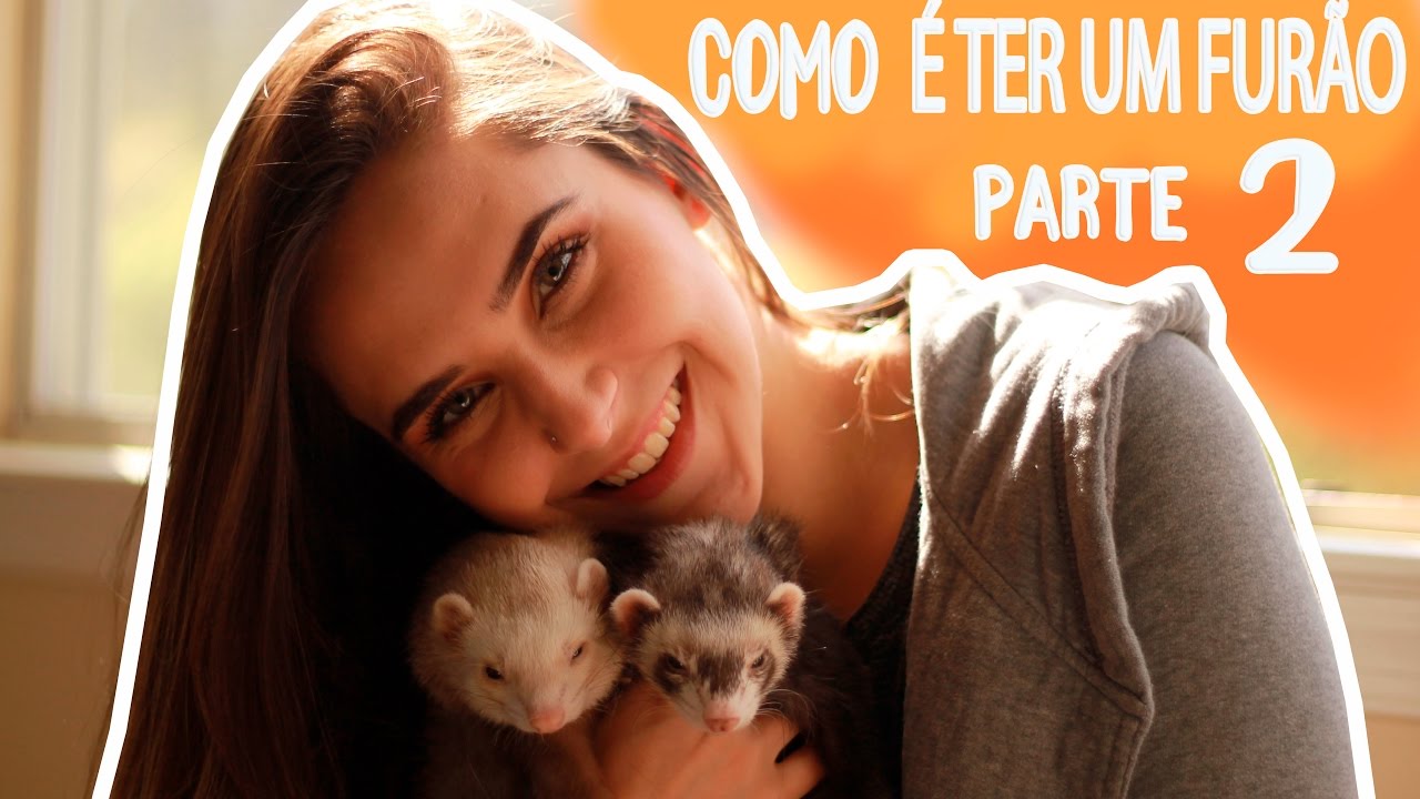 COMO É TER UM FURÃO - PARTE 2
