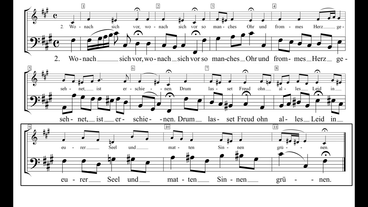 Weihnachtsoratorium 35 Seid froh dieweil - Bass ab Takt 1 minus 2
