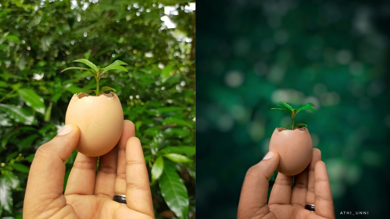 Snapseed Editing Tutorial For Beginners / Mobile Photo Editing  / Athi unni / Photography Ideas 2020