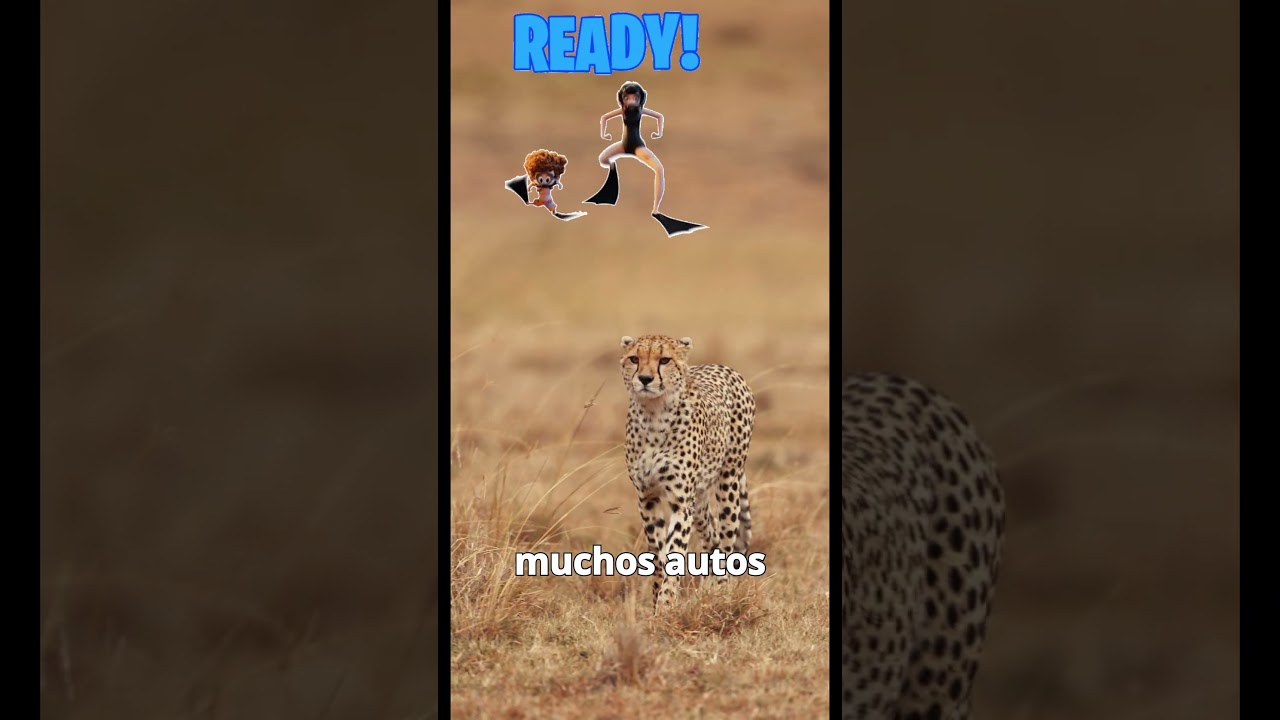 🐆 El Guepardo: El Animal Más Rápido del Mundo (Velocidad Extrema) 