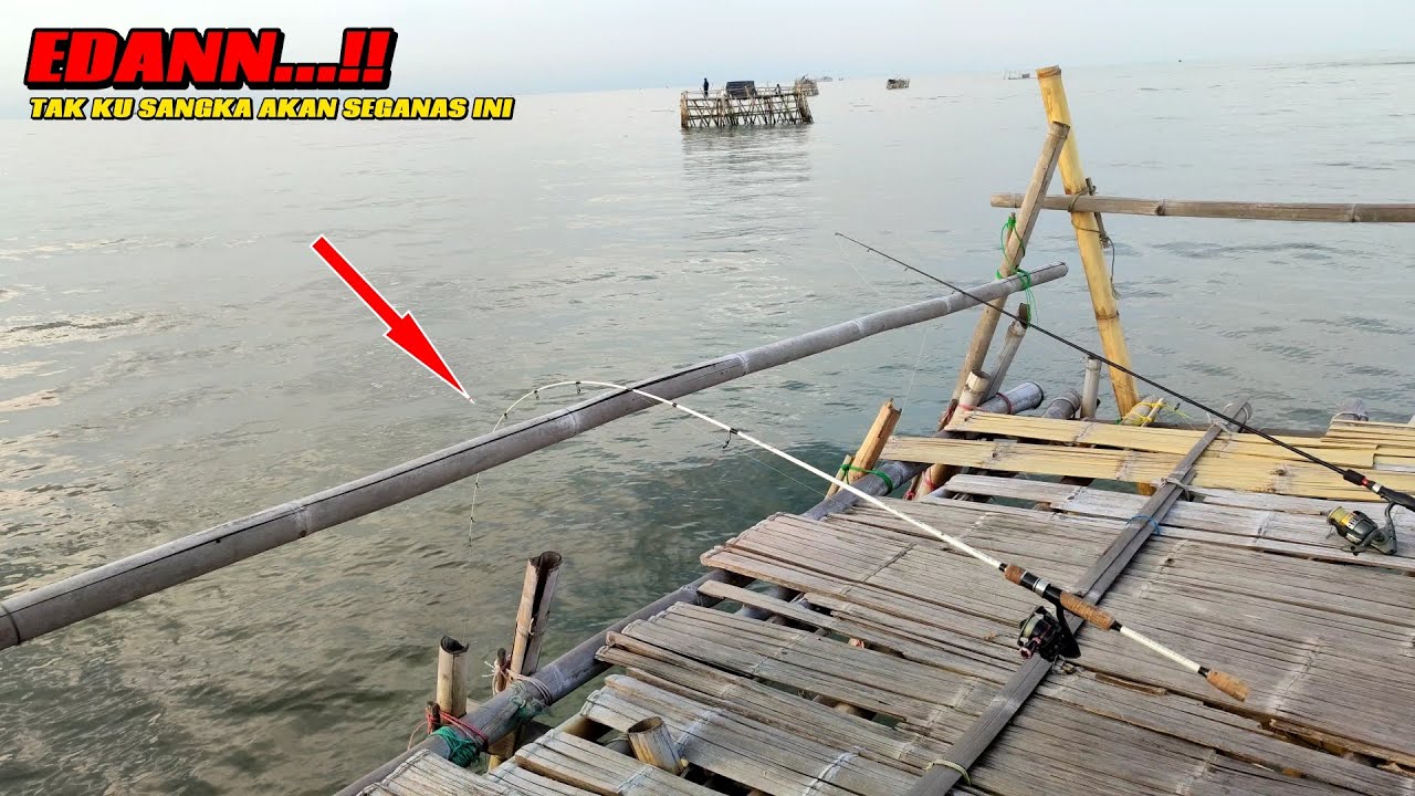 HERAN BAGET..!! BAGAN REOT INI BANYAK DI HUANI IKAN BESAR DI BAWAHNYA