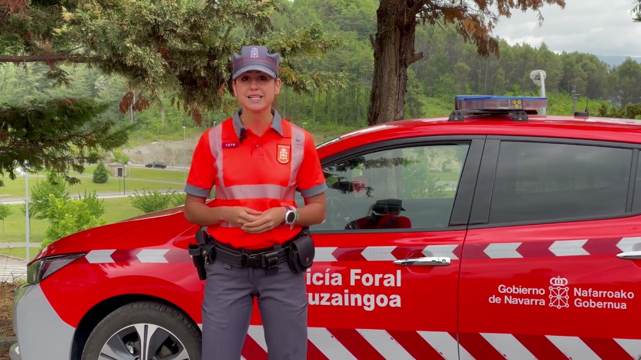 Sistemas de Retención Infantil (SRI): cómo deben viajar los menores