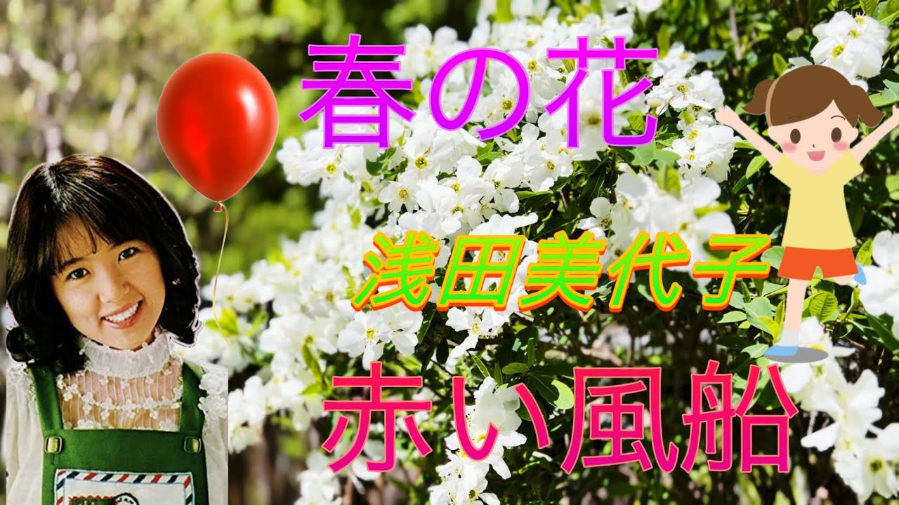 庭に咲いた春の花（モクレン、サクラソウなど） 浅田美代子 赤い風船（1973 デビュー曲）