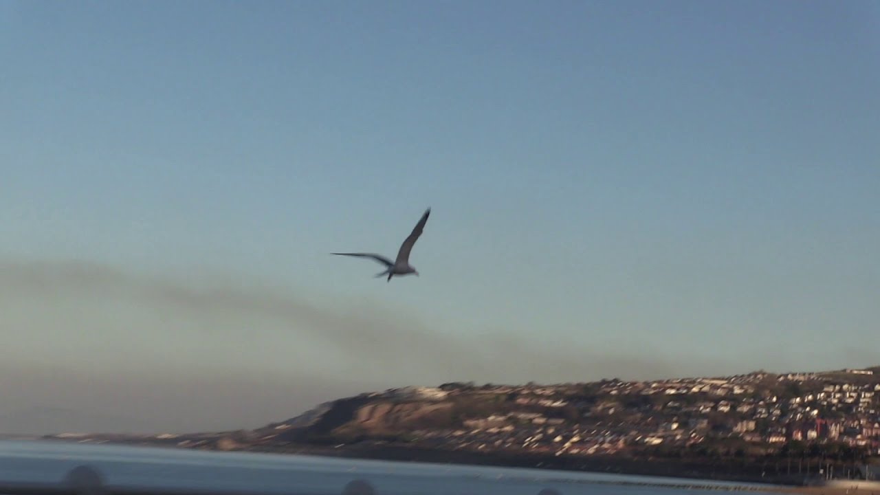 Canon Legria G40 test