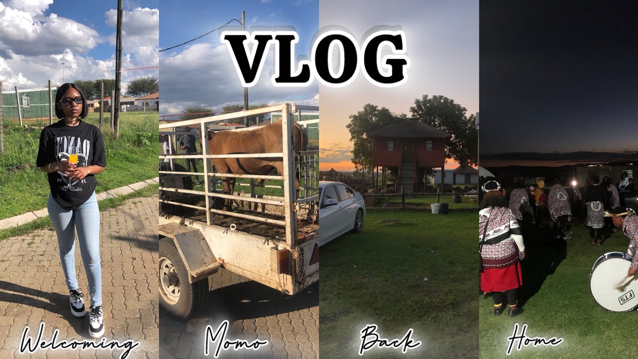 VLOG