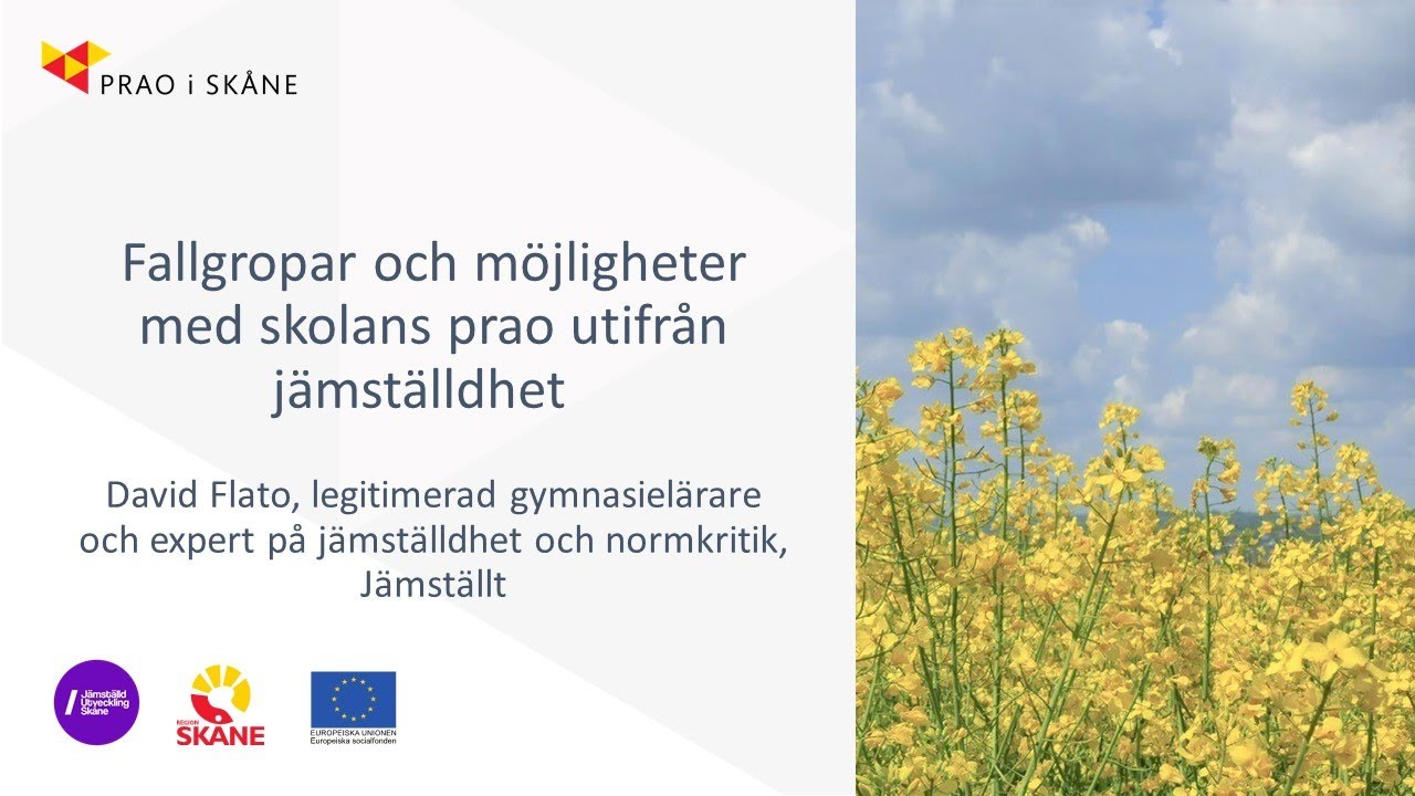 Jämställd prao - Fallgropar och möjligheter