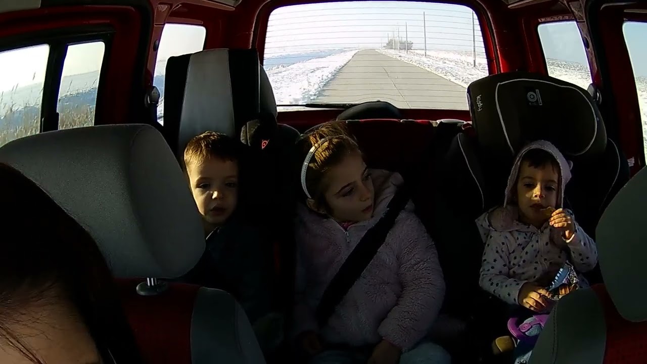Ionel Nistor Vlog  #IonelNistorBlog #ApisInes #IonelNistor