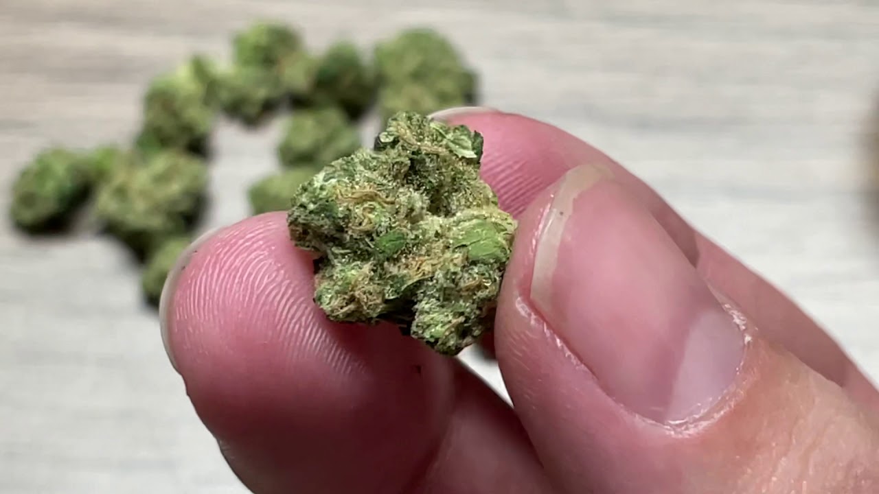 East Coast Sour Diesel- Verano