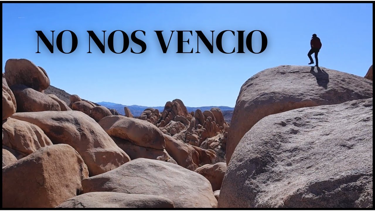 Visitamos a Joshua Tree National Park 🌳