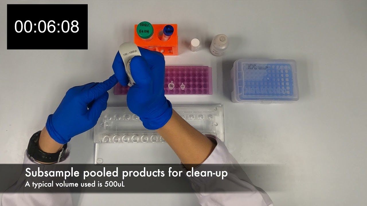 Step 3: Pooling and clean-up of PCR products