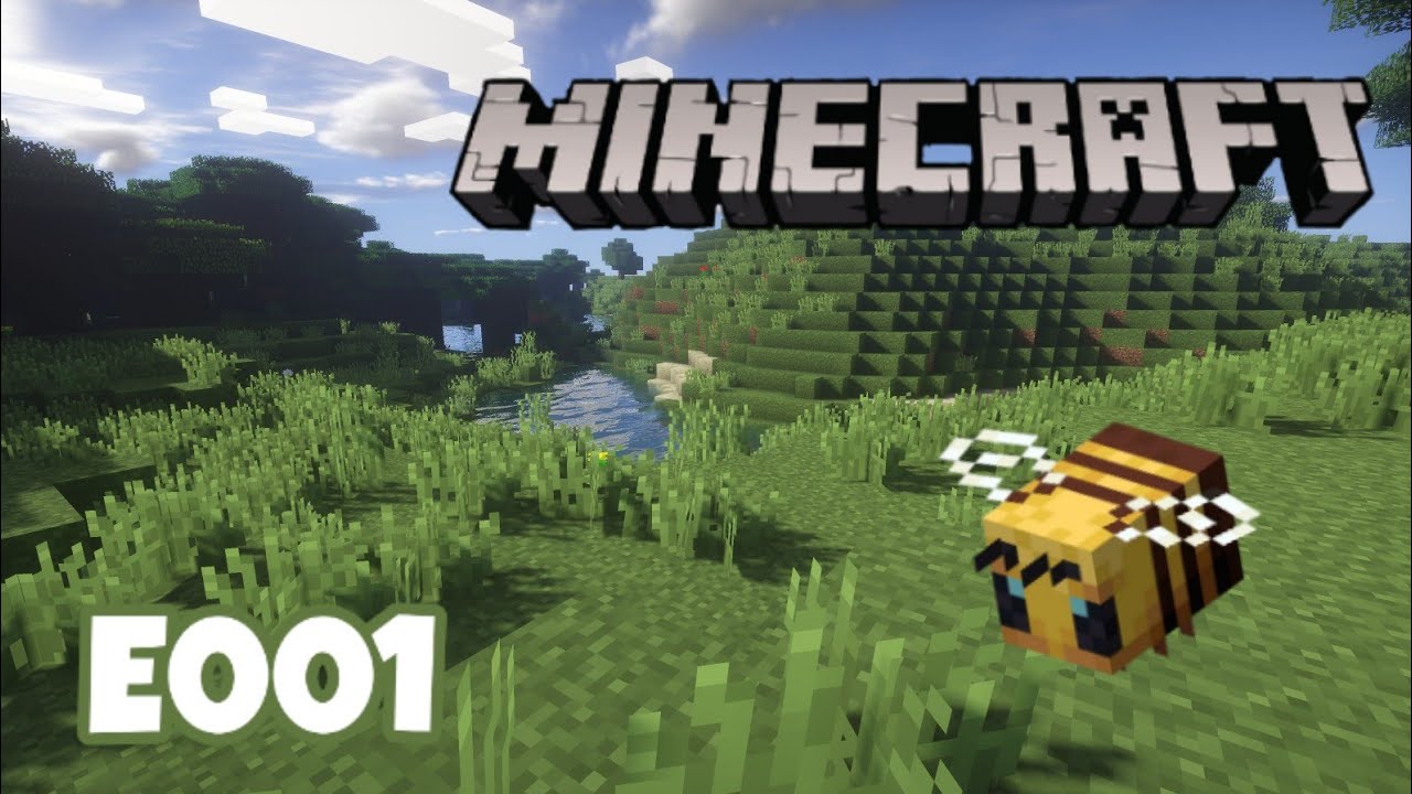 E001 SURVIE MULTIJOUEUR FR ( SURVIE MINECRAFT )