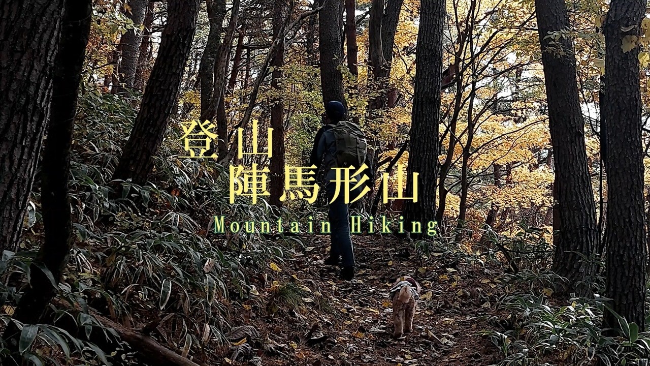 【犬連れ登山】絶景に癒やされる休日。登山女子犬と歩く、360度パノラマの陣馬形山で出会った最高の景色