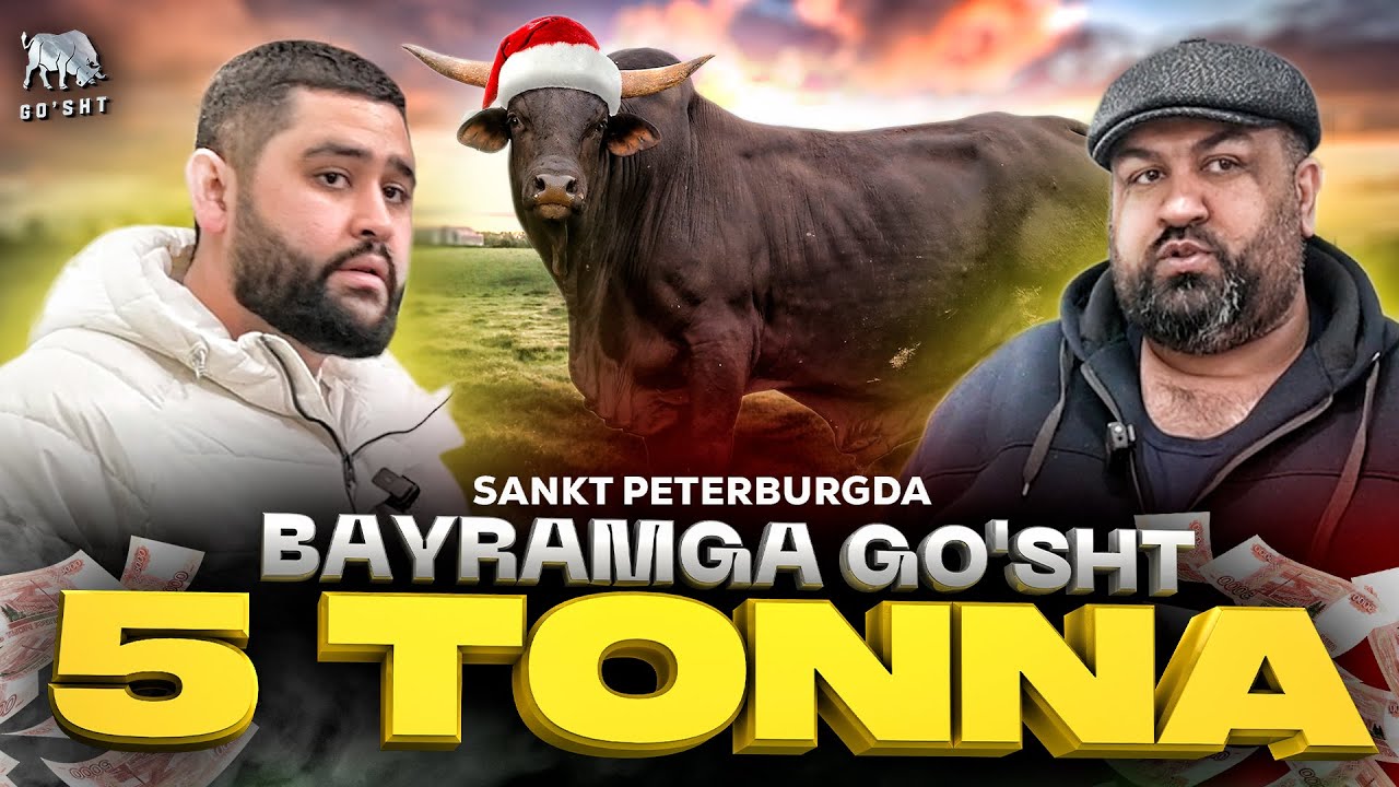 GO'SHT - BAYRAMGA 5 TONNA 😱 SANKT-PETERBURG
