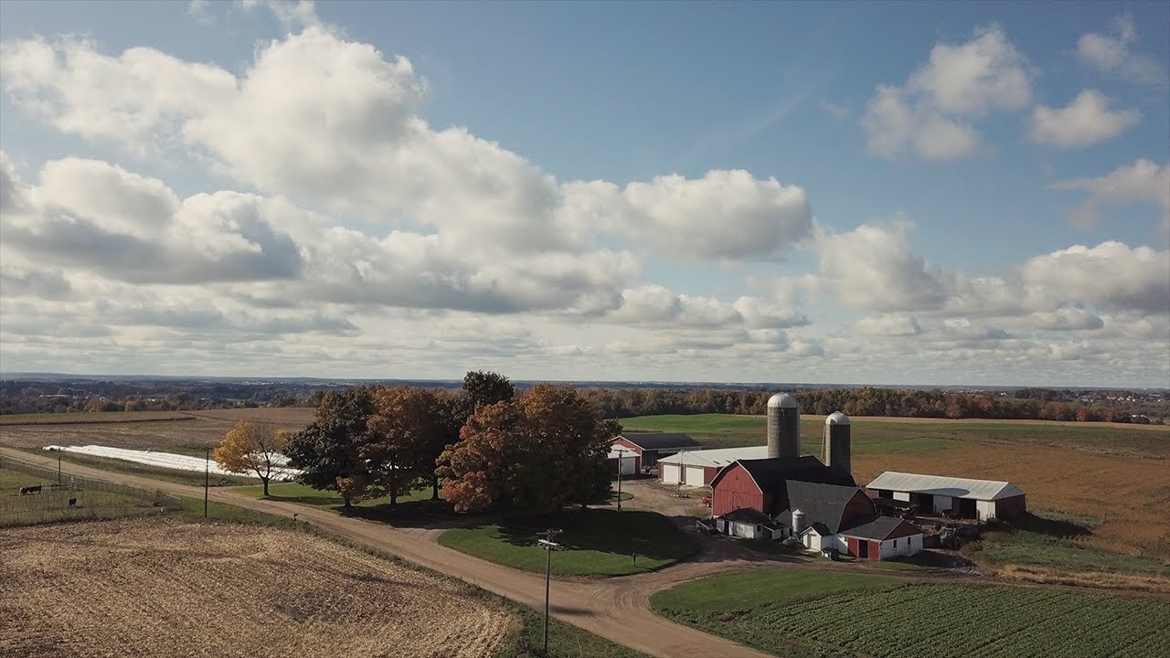 Holstein America: February 2020