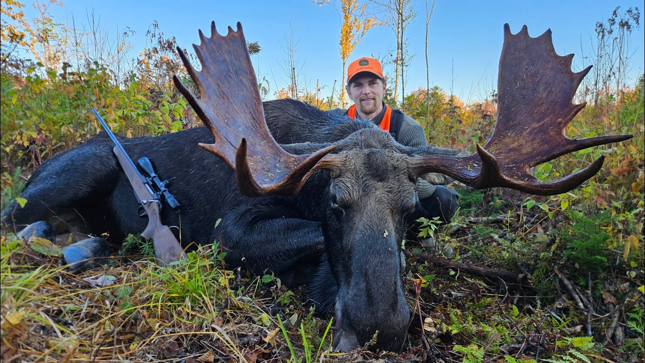 NB Moose Hunt 2025 🫎 with Darrow Outdoors - Zone 16 Monster
