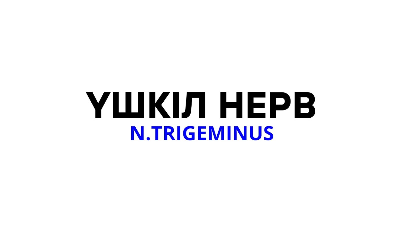5 ЖҰП НЕРВ | ҮШКІЛ НЕРВ ҚҰРЫЛЫСЫ | НЕРВ ЖҮЙЕСІ #1