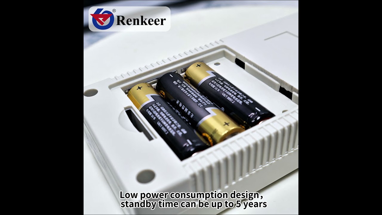 Renke handheld weather station 