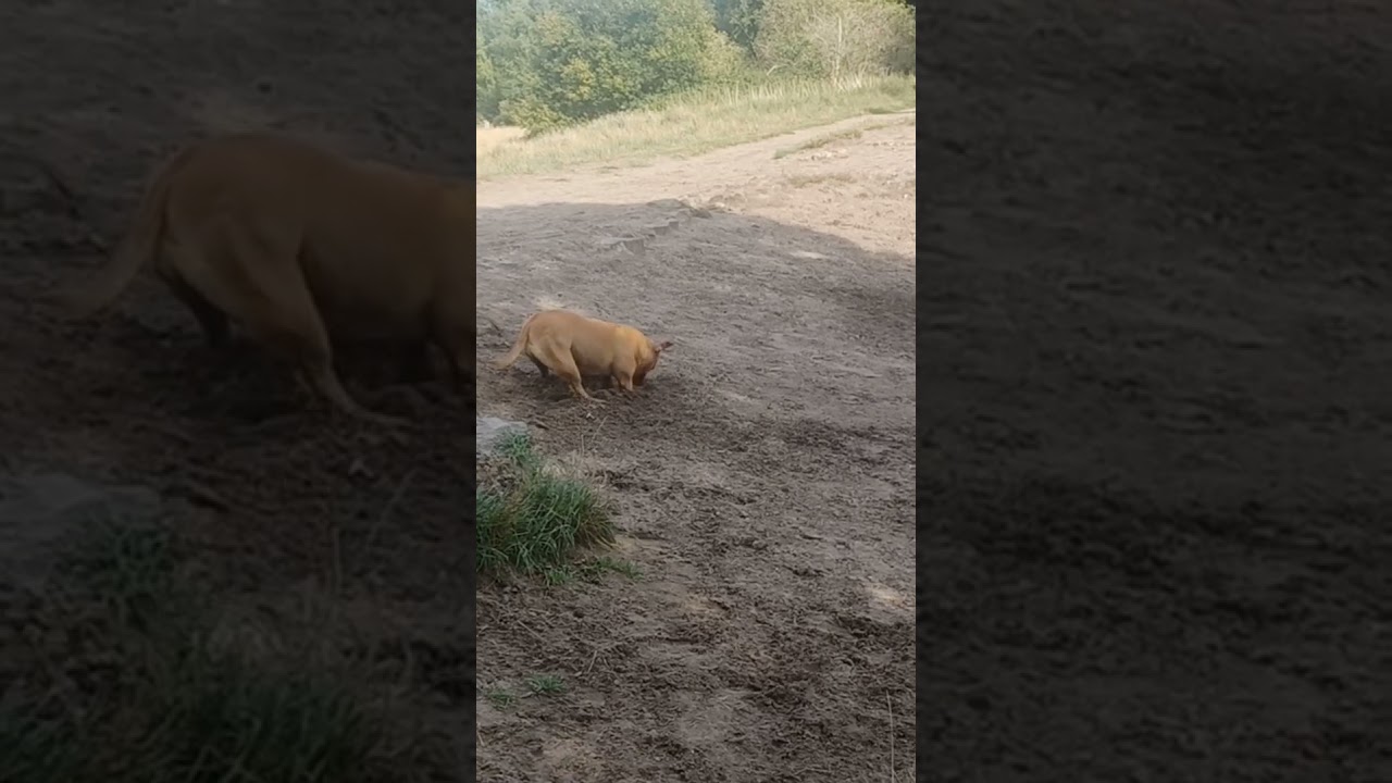 Een klein graafje