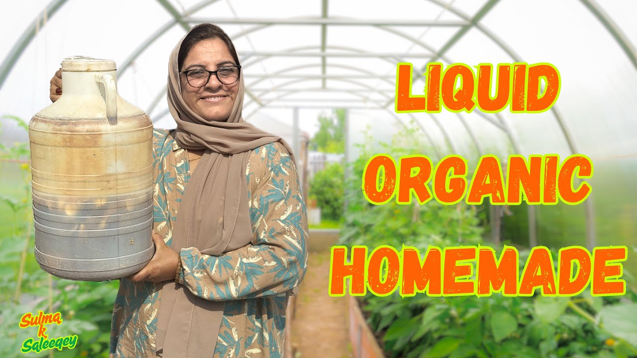 How To Make Strong Organic Fertilizer For Vegetables 