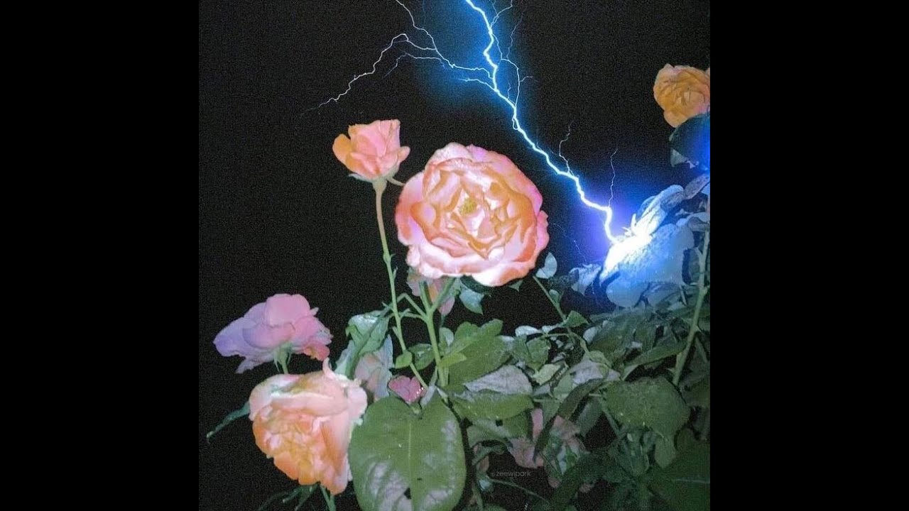 [FREE FOR PROFIT] Shoegaze Metal + Deftones + Alternative Rock type beat 