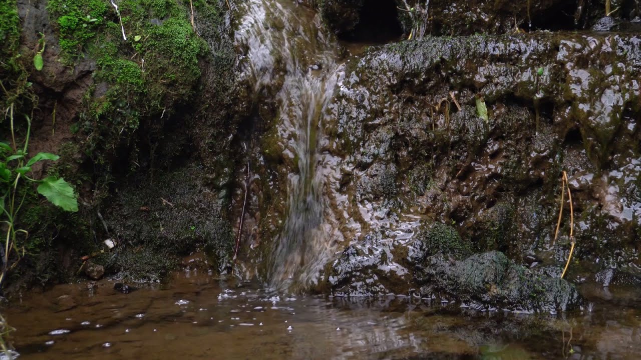 1 Hour Soothing Sound of Flowing Water. Water Sounds for Meditation, Relaxation, Sleep, Study