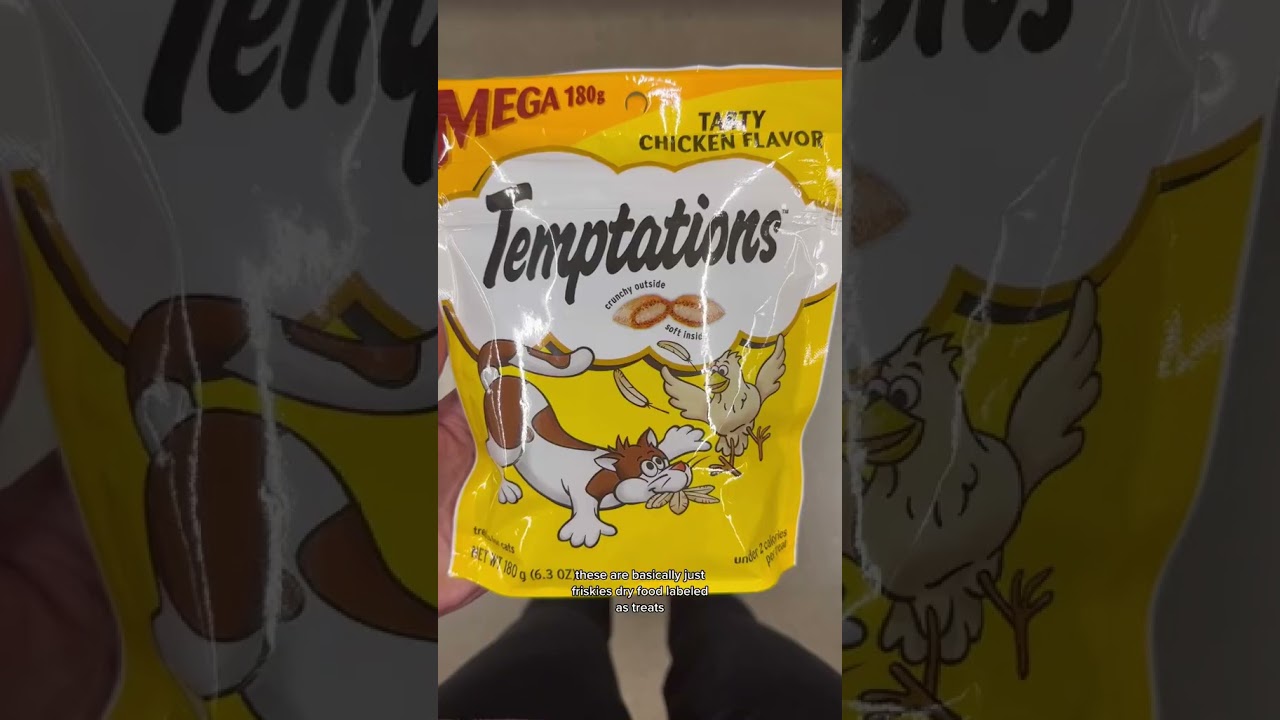 Worst Cat Treats To Avoid #cat #cathealth #shorts