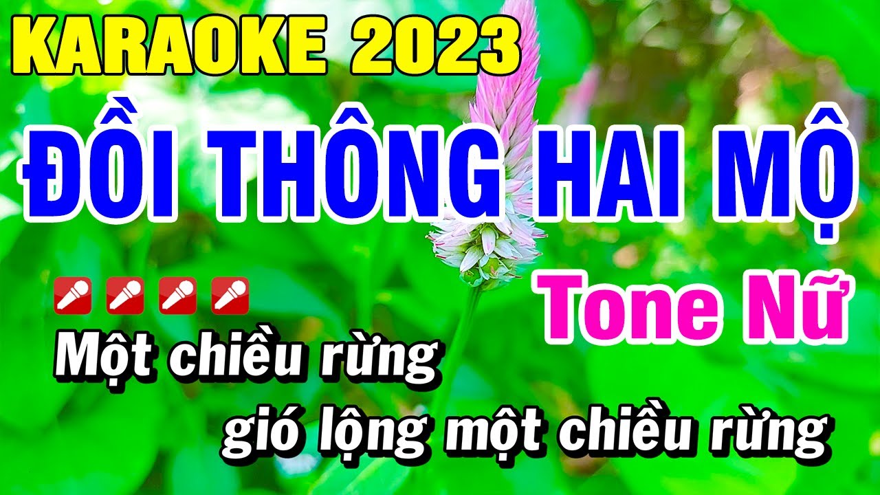 Karaoke Đồi Thông Hai Mộ Tone Nữ (Beat Hay) Nhạc Sống | Hoài Phong Organ