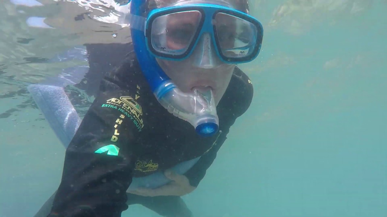 Schnorcheln beim Stonehaven Bay